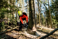 METABO Pilarka łańcuchowa AKU 18V MS 36-18 LTX BL 40 40 cm 3/8 601613850