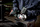 METABO Szlifierka kątowa 18V 125 mm WVB 18 LT BL 11-125 2x5,5Ah 613057660