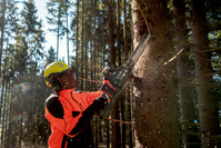 METABO Pilarka łańcuchowa AKU 18V MS 36-18 LTX BL 40 40 cm 3/8 601613850