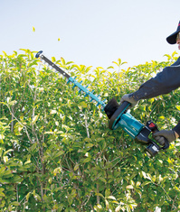 MAKITA Nożyce do żywopłotu akumulatorowe 18V 60cm DUH601Z Makita PL