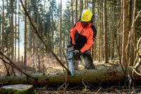 METABO Pilarka łańcuchowa AKU 18V MS 36-18 LTX BL 40 40 cm 3/8 601613850