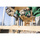 HIKOKI Wiertarko-wkrętarka akum. 36V UDAR 155Nm Body BLDC Walizka DV36DCW2Z