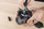 WOLFCRAFT Mini Wkrętak precyzyjny śrubokręt do okularów z magnesem 8736000