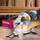 MAKITA Piła ukośna ukośnica bez posuwu 260mm 1650W LS1040N MAKITA PL