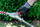 METABO Przystawka Nożyce Do Żywopłotu MA-HS 50 601726850