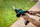 METABO Nożyce do trawy i żywopłotu AKU 18V 20cm SGS 18 LTX Q 601609850 BODY