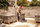 WOLFCRAFT Wózek transportowy TS850 WF5501000